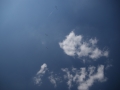 SONY DSC