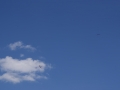 SONY DSC