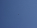 SONY DSC
